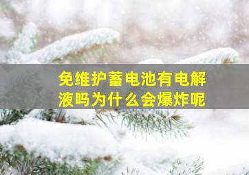 免维护蓄电池有电解液吗为什么会爆炸呢