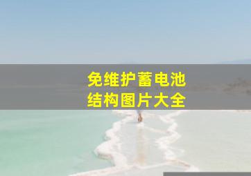 免维护蓄电池结构图片大全