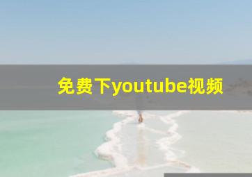 免费下youtube视频