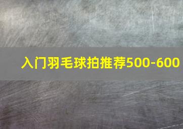 入门羽毛球拍推荐500-600