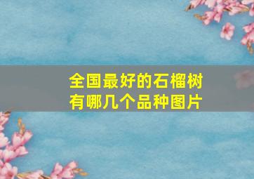 全国最好的石榴树有哪几个品种图片