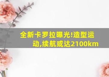 全新卡罗拉曝光!造型运动,续航或达2100km