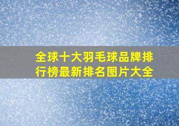 全球十大羽毛球品牌排行榜最新排名图片大全