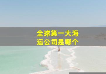 全球第一大海运公司是哪个