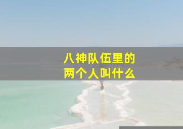 八神队伍里的两个人叫什么