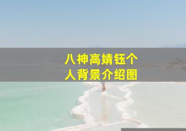 八神高婧钰个人背景介绍图