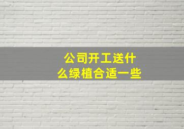 公司开工送什么绿植合适一些