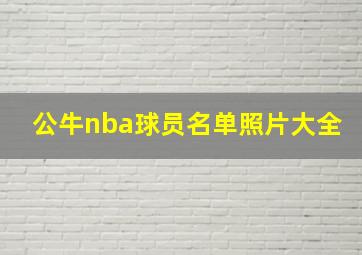 公牛nba球员名单照片大全