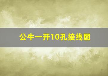 公牛一开10孔接线图