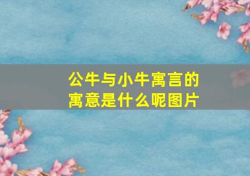 公牛与小牛寓言的寓意是什么呢图片