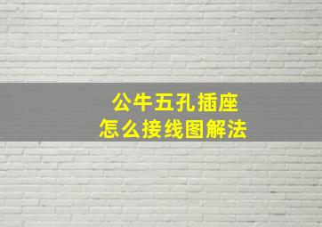 公牛五孔插座怎么接线图解法