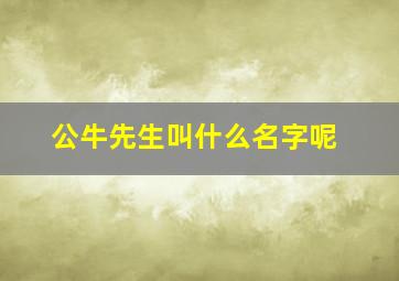 公牛先生叫什么名字呢