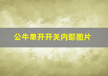 公牛单开开关内部图片