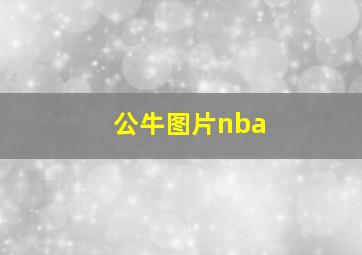 公牛图片nba