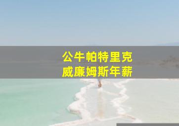 公牛帕特里克威廉姆斯年薪