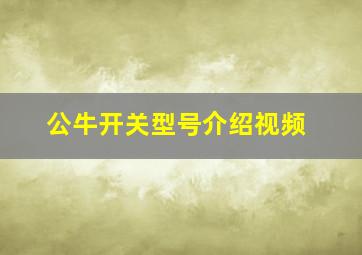 公牛开关型号介绍视频