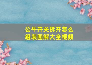 公牛开关拆开怎么组装图解大全视频