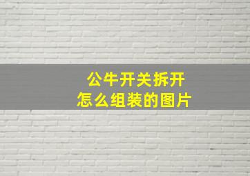 公牛开关拆开怎么组装的图片