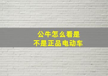 公牛怎么看是不是正品电动车