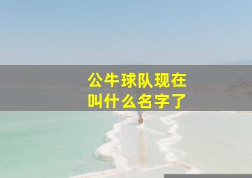 公牛球队现在叫什么名字了