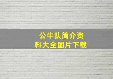 公牛队简介资料大全图片下载