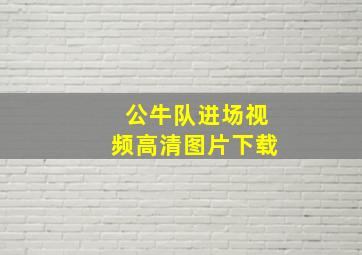 公牛队进场视频高清图片下载