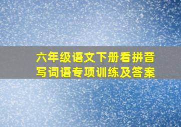 六年级语文下册看拼音写词语专项训练及答案