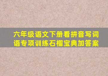 六年级语文下册看拼音写词语专项训练石榴宝典加答案