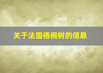 关于法国梧桐树的信息