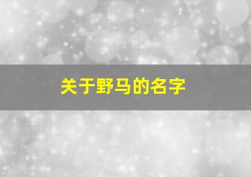 关于野马的名字