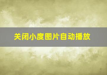 关闭小度图片自动播放