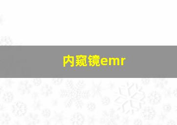 内窥镜emr