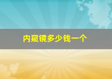 内窥镜多少钱一个