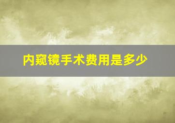 内窥镜手术费用是多少