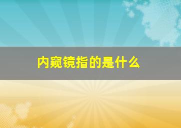 内窥镜指的是什么