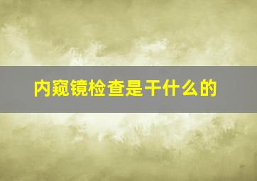 内窥镜检查是干什么的