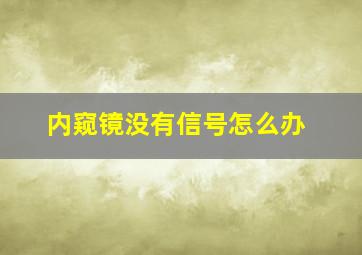 内窥镜没有信号怎么办