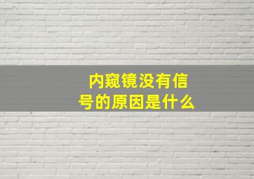 内窥镜没有信号的原因是什么