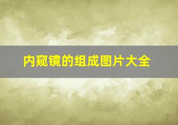 内窥镜的组成图片大全