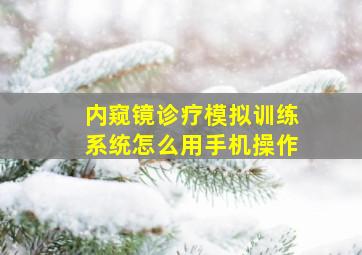 内窥镜诊疗模拟训练系统怎么用手机操作