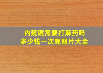 内窥镜需要打麻药吗多少钱一次呢图片大全