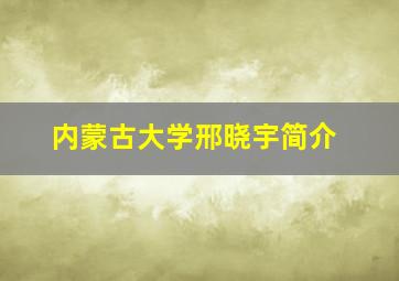 内蒙古大学邢晓宇简介