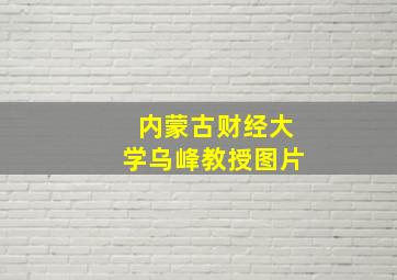 内蒙古财经大学乌峰教授图片