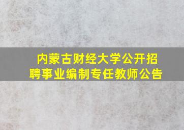 内蒙古财经大学公开招聘事业编制专任教师公告