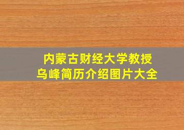 内蒙古财经大学教授乌峰简历介绍图片大全