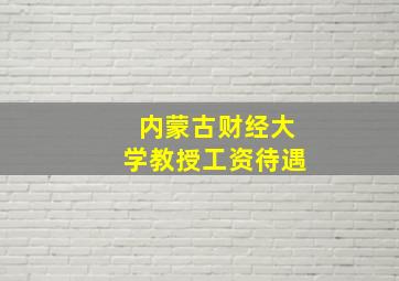 内蒙古财经大学教授工资待遇