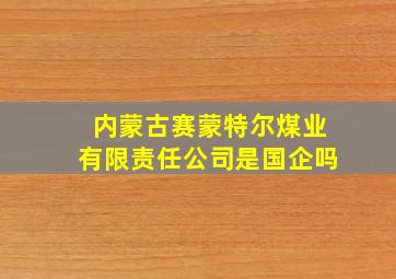 内蒙古赛蒙特尔煤业有限责任公司是国企吗