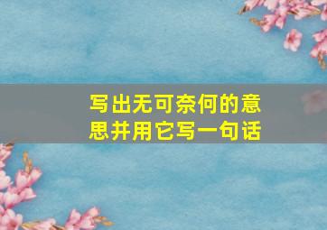 写出无可奈何的意思并用它写一句话