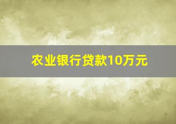 农业银行贷款10万元