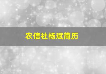 农信社杨斌简历